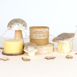 Crème solide au beurre de karité V4- 40g- COMME AVANT