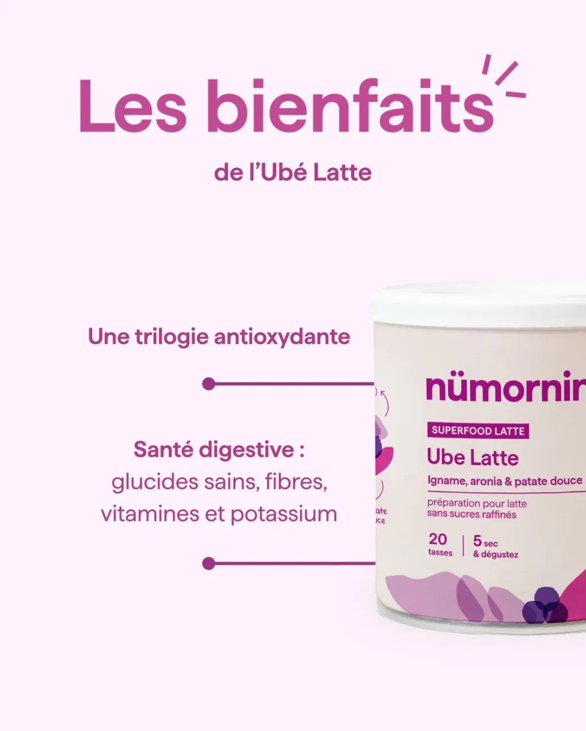 Ube Latte Violet – Nümorning